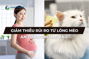 Giảm thiểu rủi ro lông mèo cho mẹ bầu